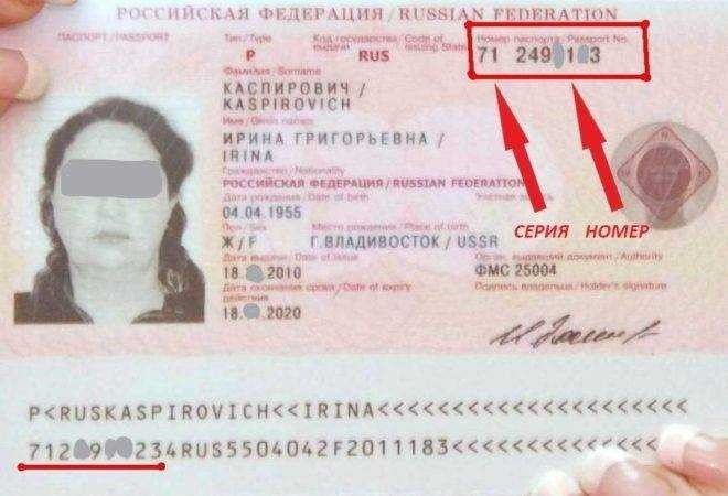 Как найти серию и номер паспорта подробное руководство для граждан рф