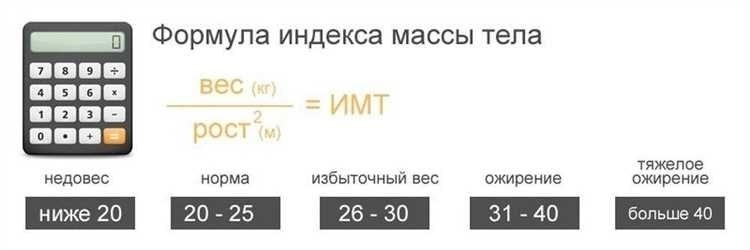 Как рассчитать имт простая и эффективная формула для определения индекса массы тела