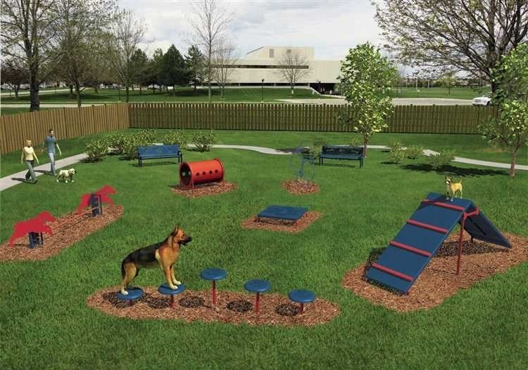 Площадка для собак создаем комфортное место для развлечений вашего питомца